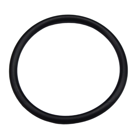 FM19 INTAKE FLANGE O-RING
