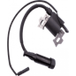 196/212RR IGNITION COIL ASSY