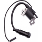 IGNITION COIL ASSY